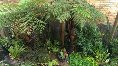 fernery